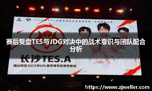 赛后复盘TES与JDG对决中的战术意识与团队配合分析